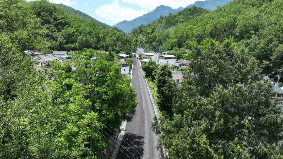 答卷·2025 陇南：实干笃行保畅通 养护赋能启华章——碧口